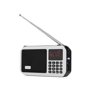 Radio Portative me Bluetooth, Micro SD, Lcd dhe FM Digjital GOGEN GOGFMP125BTW