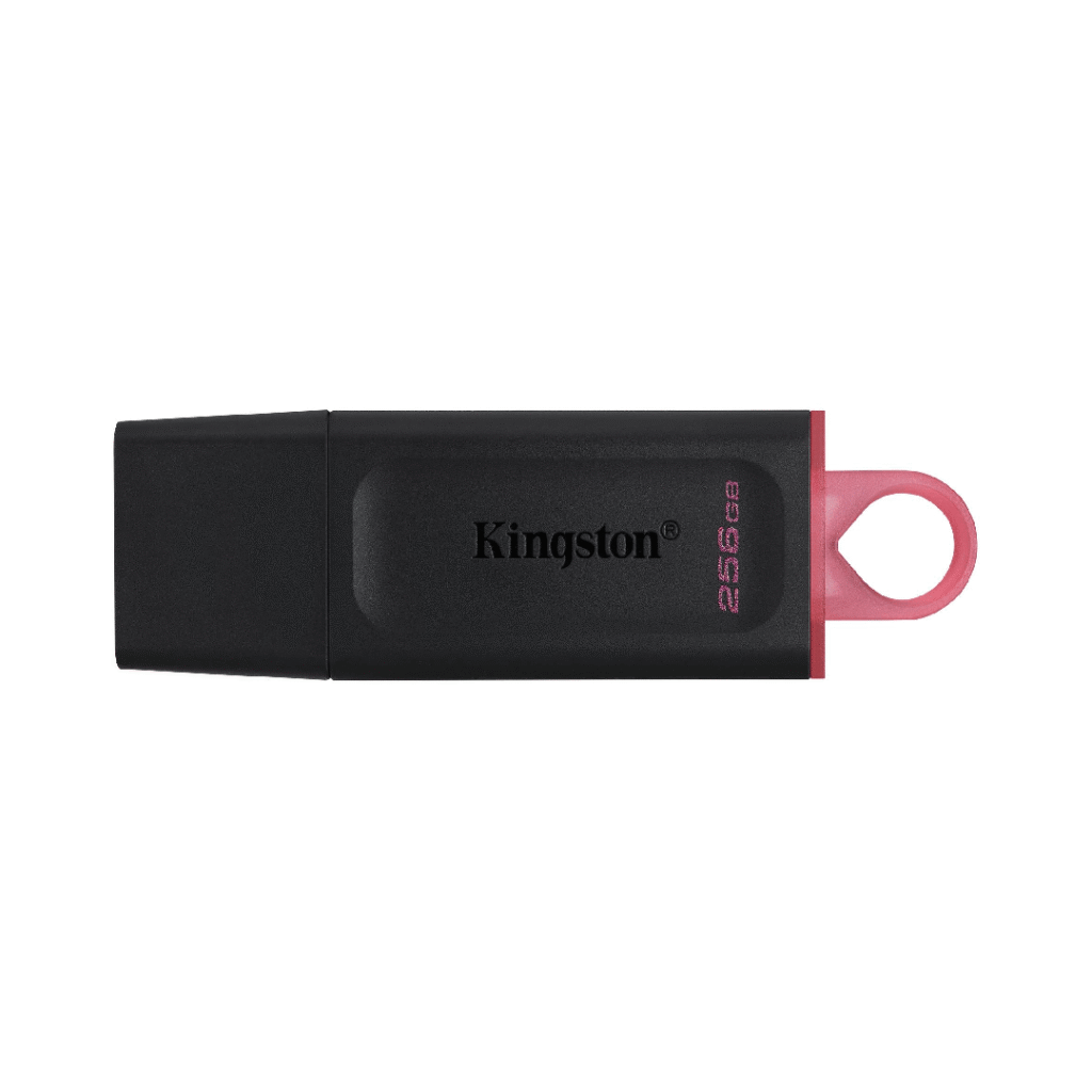 USB KINGSTON UFD 256GB DTX